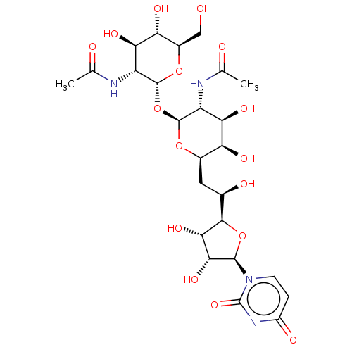 PNG