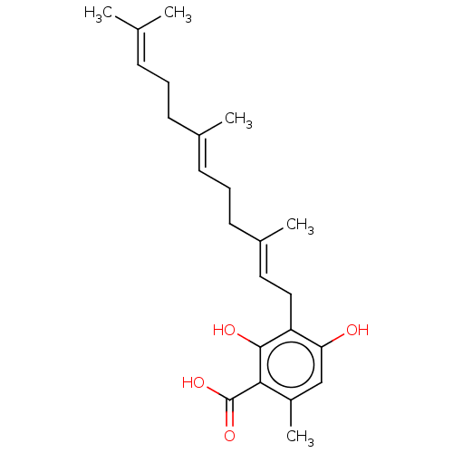 PNG