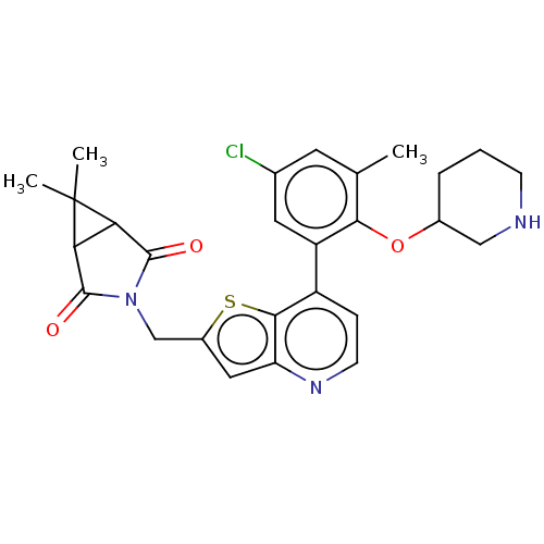 PNG