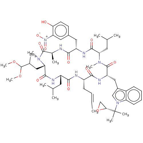 PNG