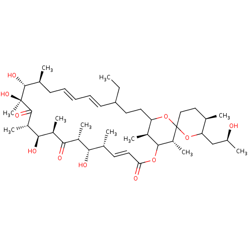 PNG