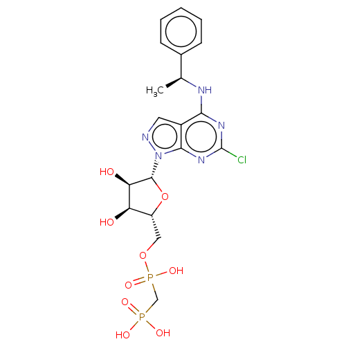 PNG