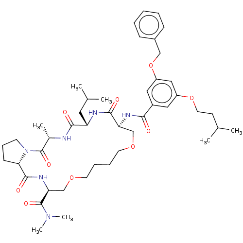 PNG