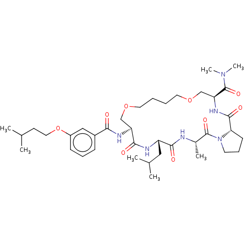 PNG