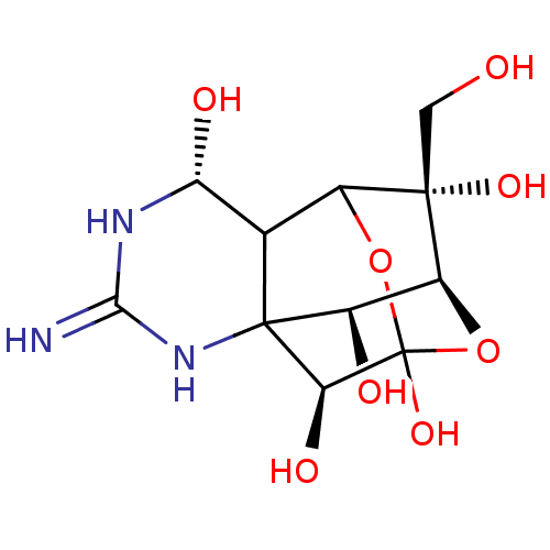 PNG