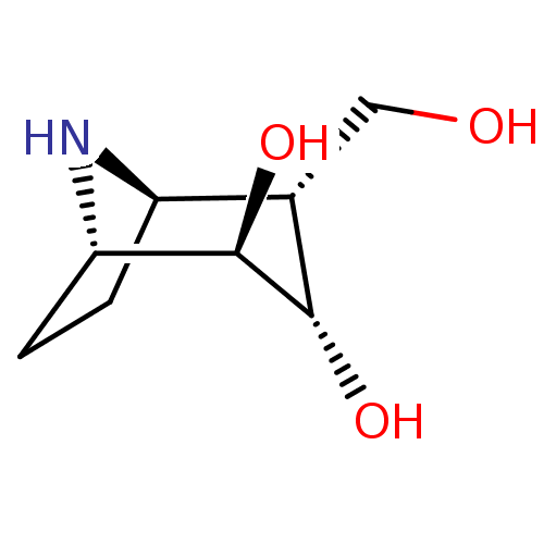 PNG