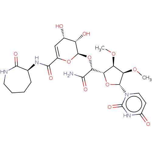 PNG