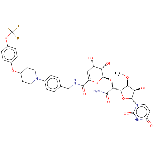 PNG