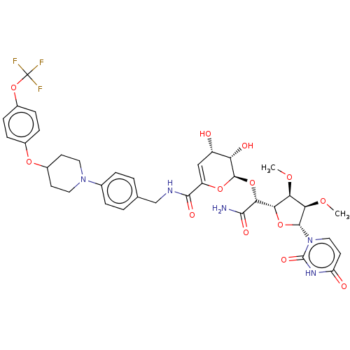 PNG