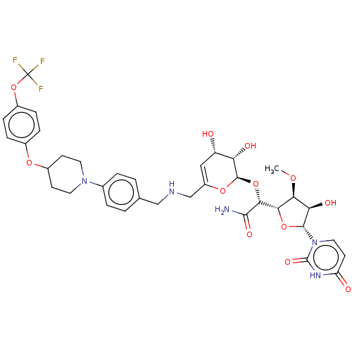 PNG