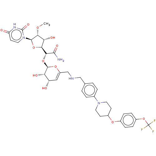 PNG