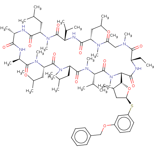 PNG