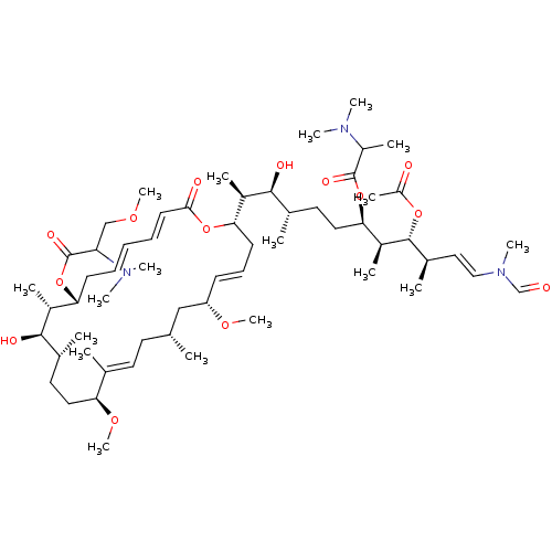 PNG