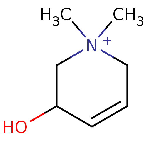 PNG