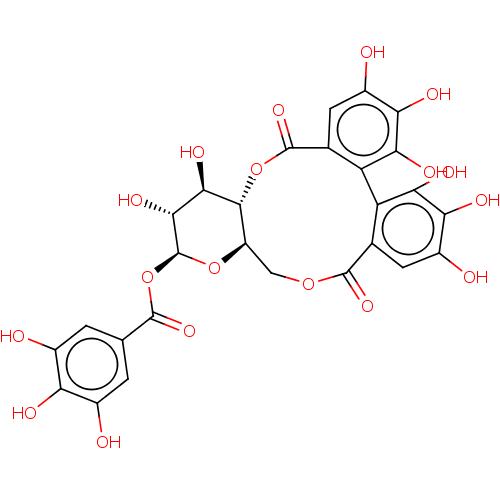 PNG