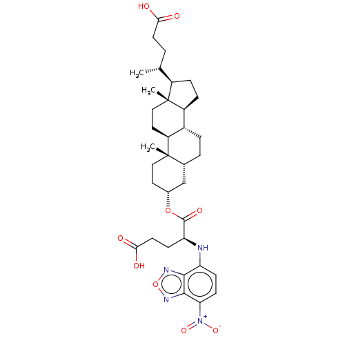 PNG