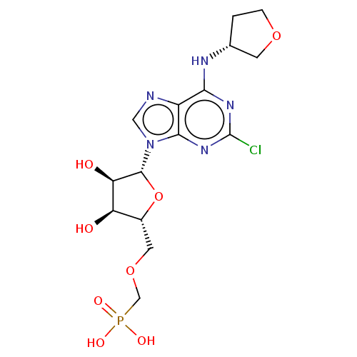 PNG