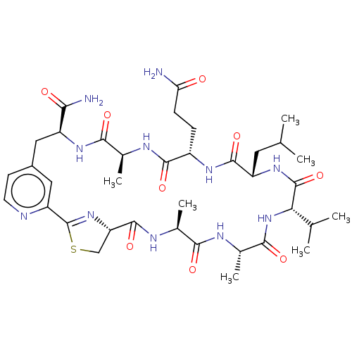 PNG