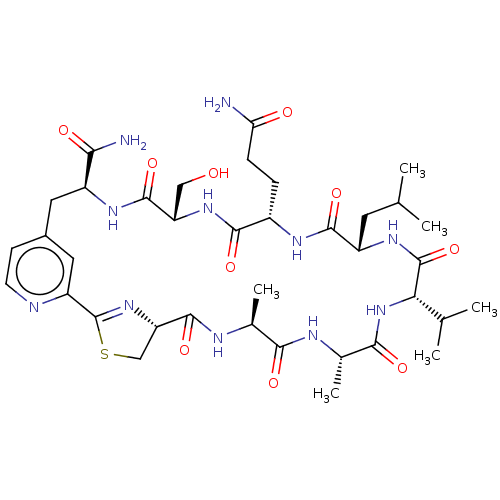 PNG