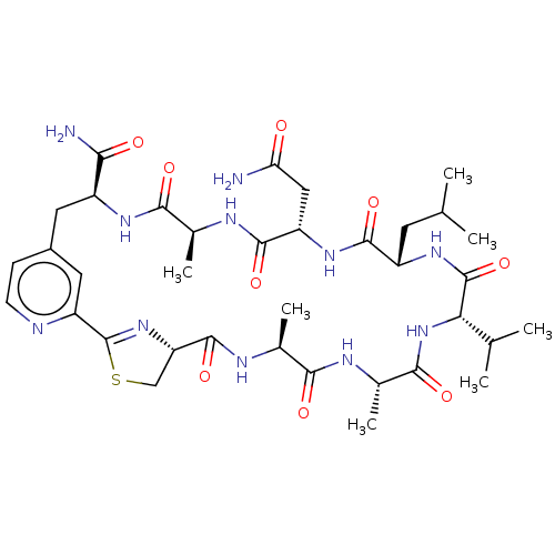 PNG