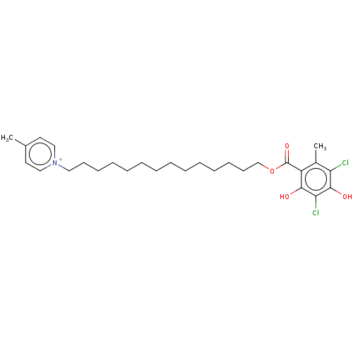 PNG