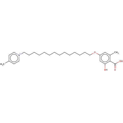 PNG