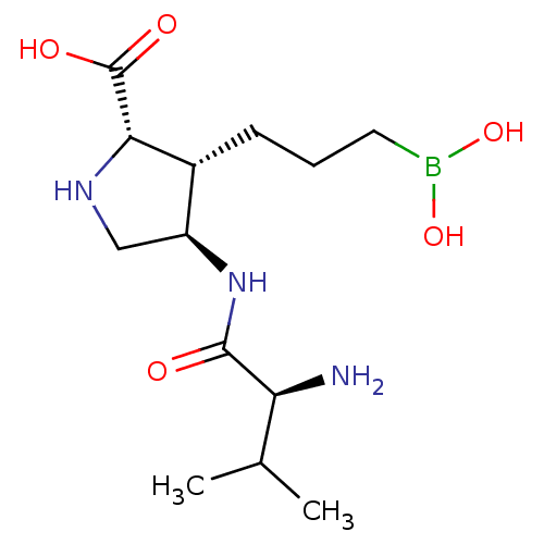 PNG