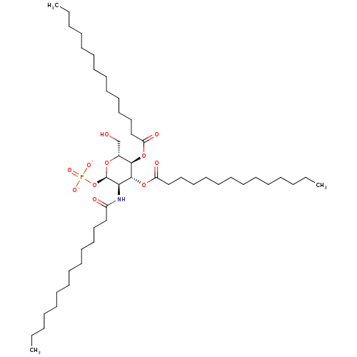 PNG
