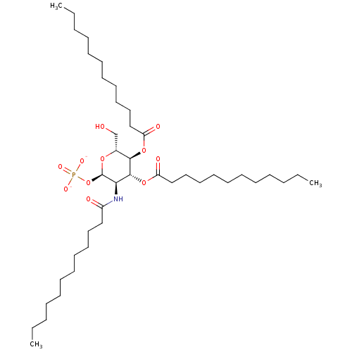PNG