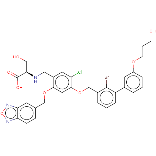 PNG