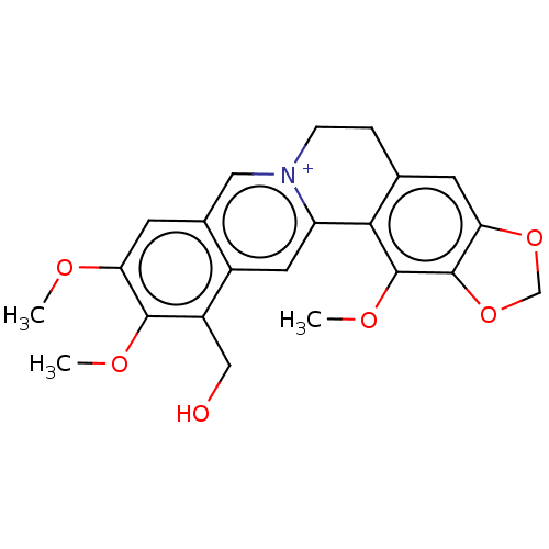 PNG