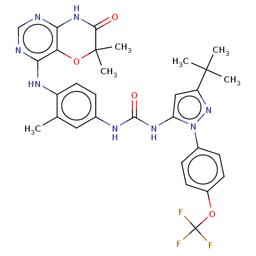 PNG