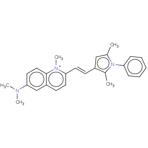 PNG