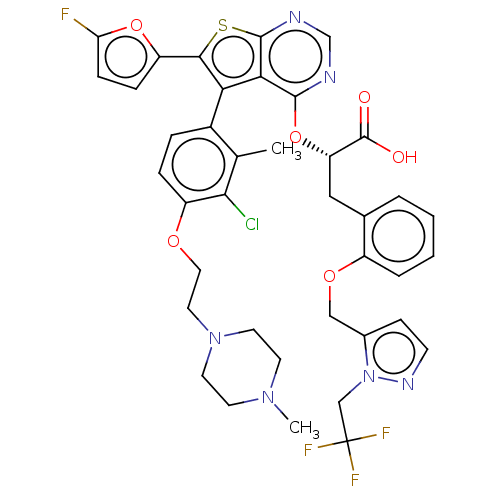 PNG