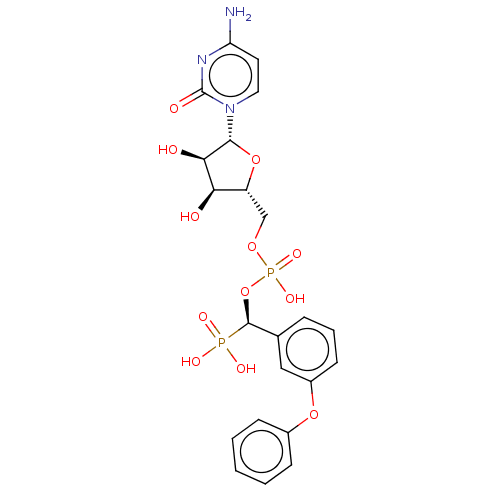 PNG