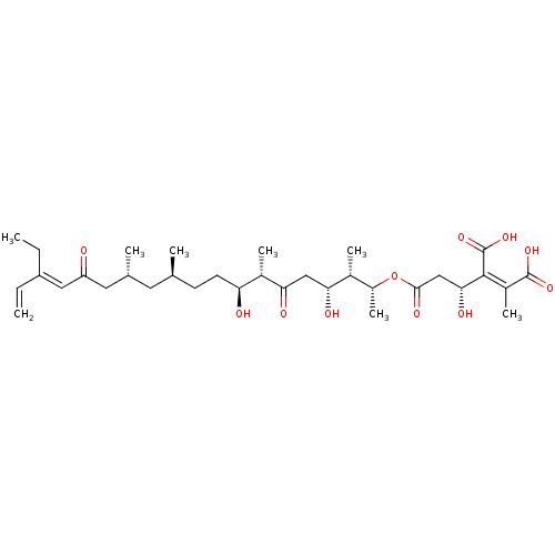 PNG