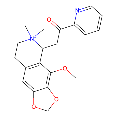 PNG