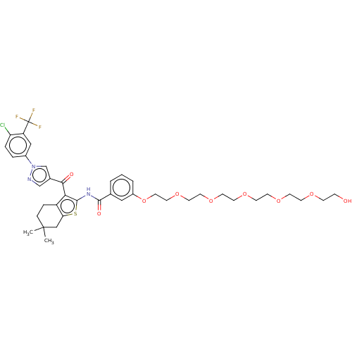 PNG