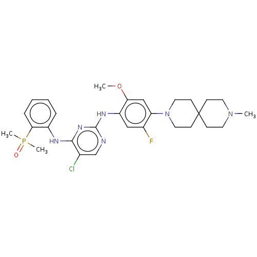 PNG