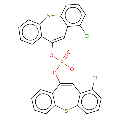 PNG