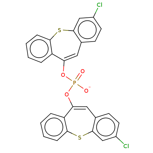 PNG