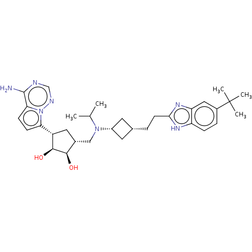 PNG