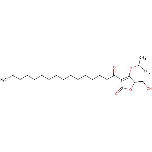 PNG