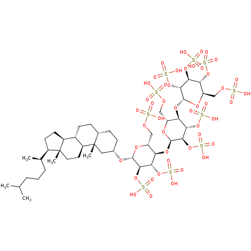 PNG