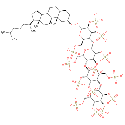 PNG