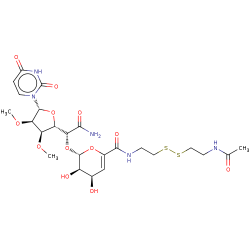 PNG