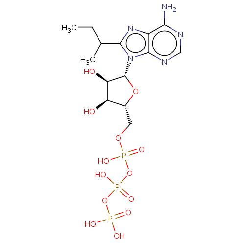 PNG