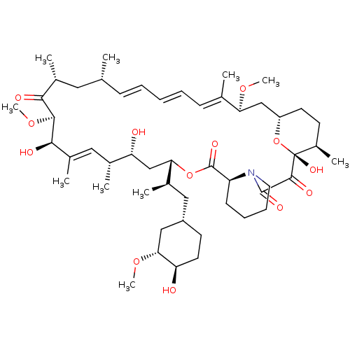 PNG