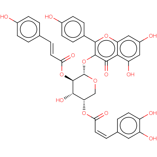 PNG