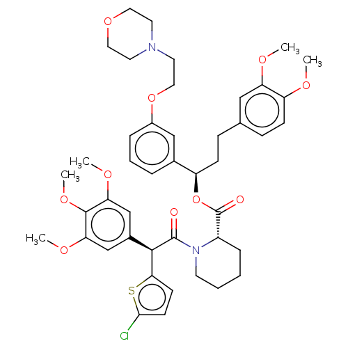 PNG